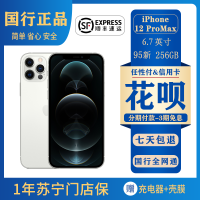 Apple/iPhone 苹果12ProMax 256G 国行 二手手机