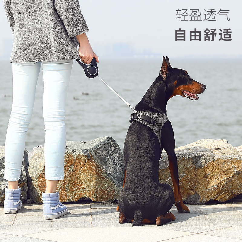 小佩飞织胸背基础款-灰色S