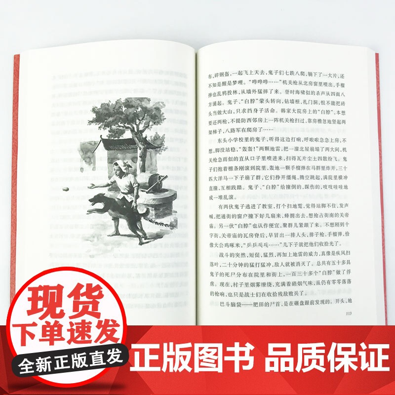 [正版]小兵张嘎五年级阅读书目 人民文学出版社徐光耀 著 语文阅读丛书 中小学阅读名著高清大图