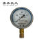 嘉禾长久/耐震压力表/YTN100 /个