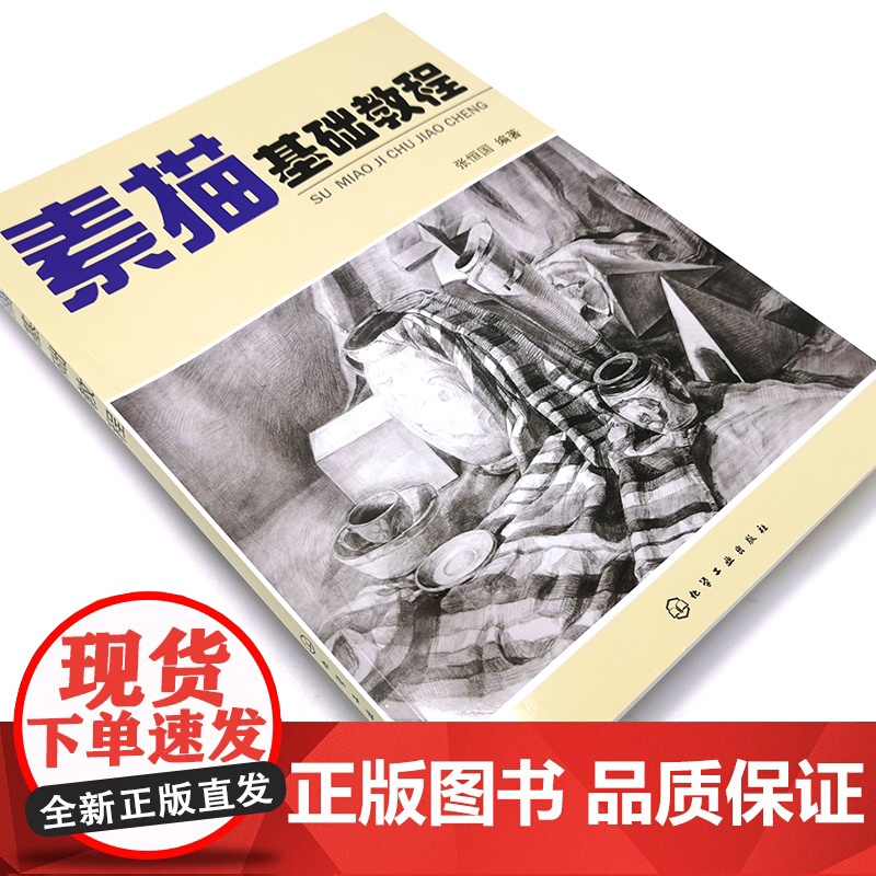正版 素描基础教程 张恒国 素描零基础初自学入门教程材书籍 铅笔手绘画画册 零基础初学自学起步石膏几何体静物结构铅笔手绘高清大图