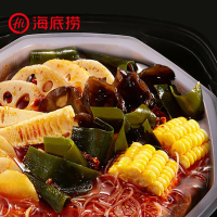 海底捞自煮火锅香辣素食懒人小火锅400g方便速食自热火锅即食自助