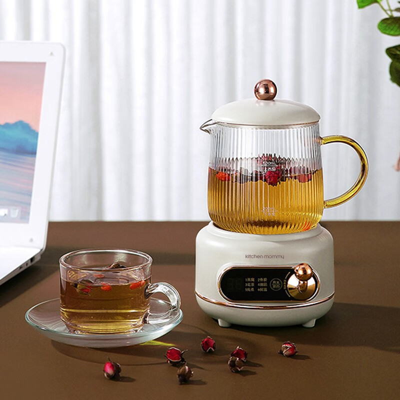 厨创妈咪kitchen mommy液体加热器 500ml花茶壶 玻璃滤网电茶壶 白色(电炖杯)YSSM05B01高清大图