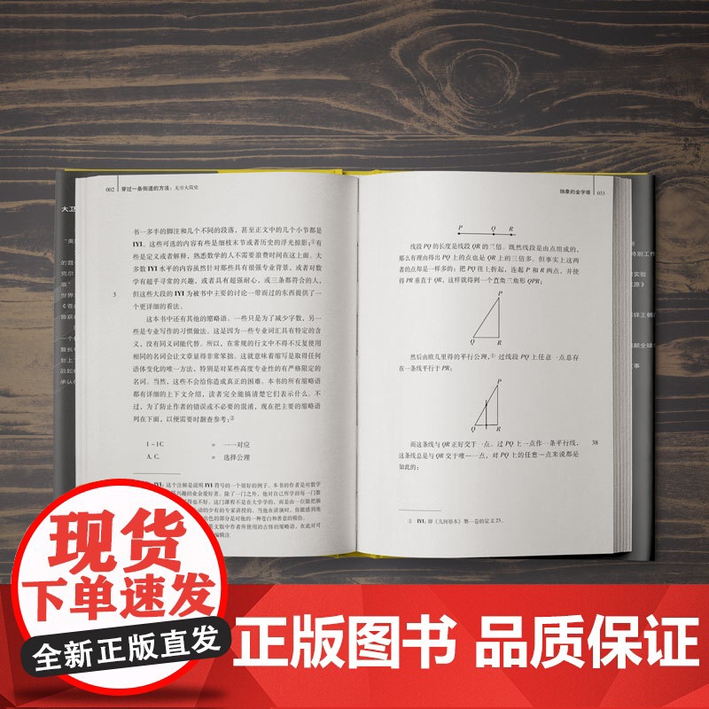 穿过一条街道的方法:无穷大简史 万有引力书系 大卫福斯特华莱士数学之美数学史书籍微积分趣味数学与生活无穷大概念高清大图