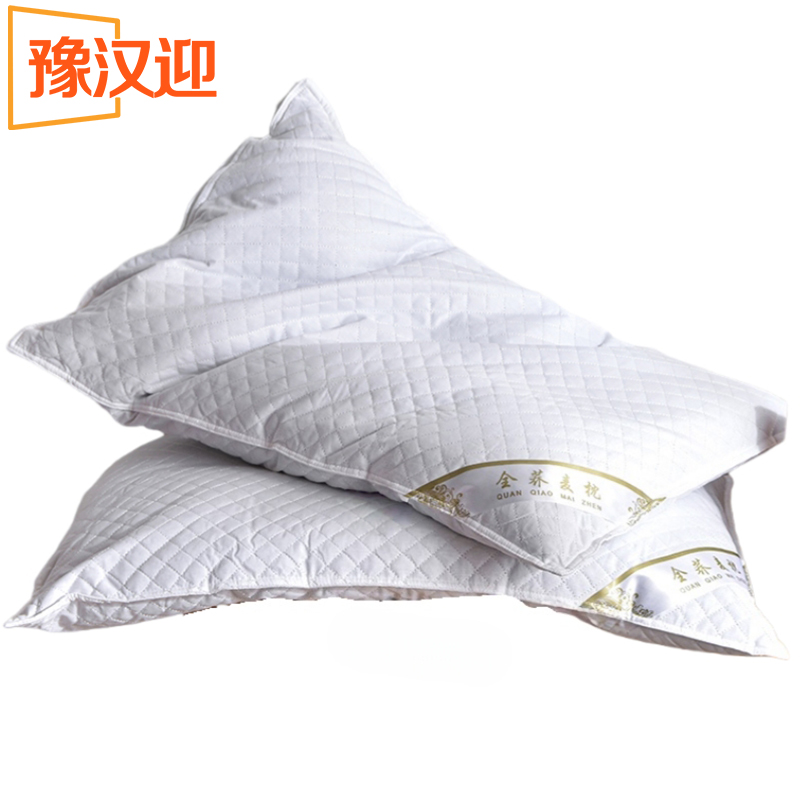 豫汉迎荞麦枕多规格高清大图