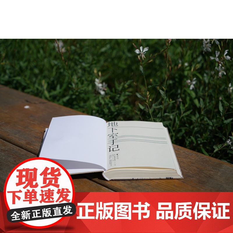 正版 地下室手记(精装) 陀思妥耶夫斯基著 豆瓣2020读书榜经典类 9.5分高口碑译文 俄国文学经典之作 外国小说书籍高清大图