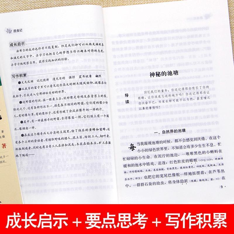 昆虫记法布尔正版书小学生三四五年级课外书必读书原著完整版 名校班主任 昆虫记 注音版