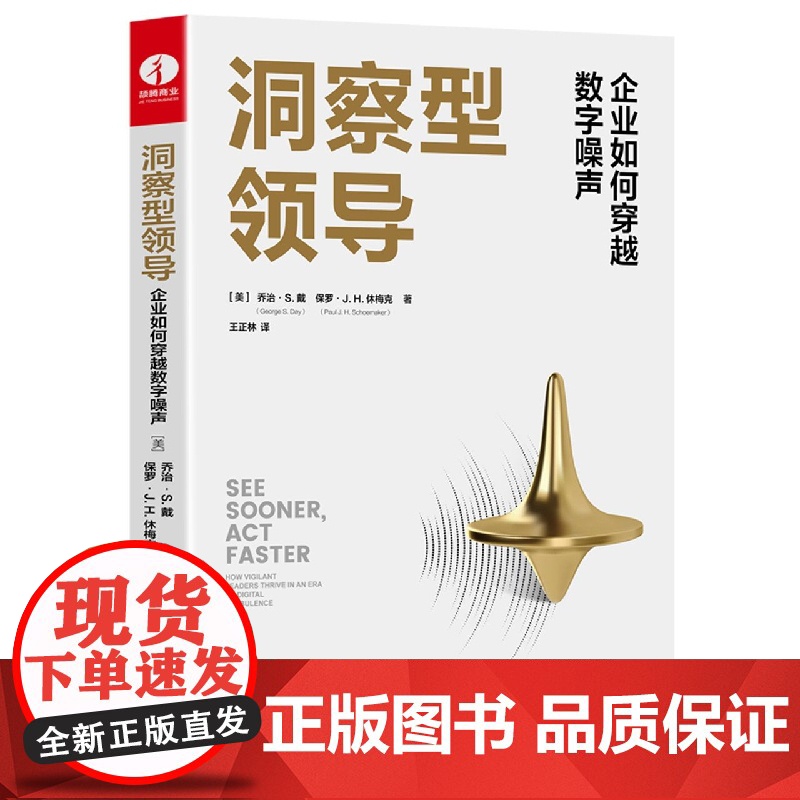 洞察型领导高清大图