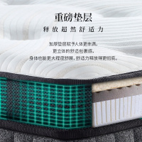 AIRLAND雅兰床垫3cm加厚乳胶床褥酒店款软硬舒适1.8m双人床垫家用 梦巴黎版