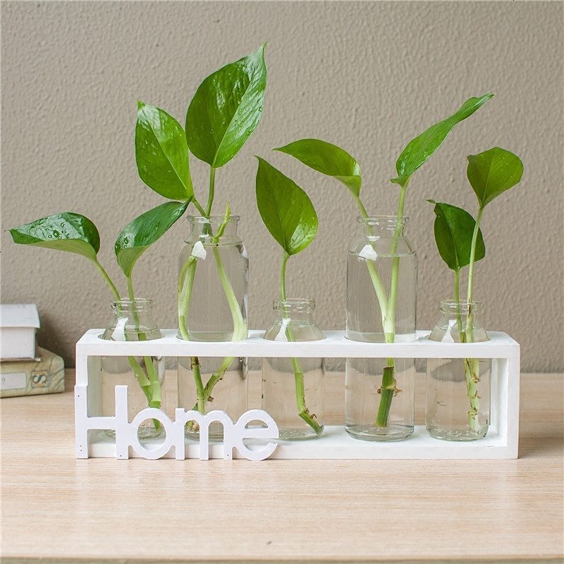 花瓶摆件植物玻璃透明容器清新装饰品绿萝客厅创意桌面个性摆件水培透明植物玻璃花瓶