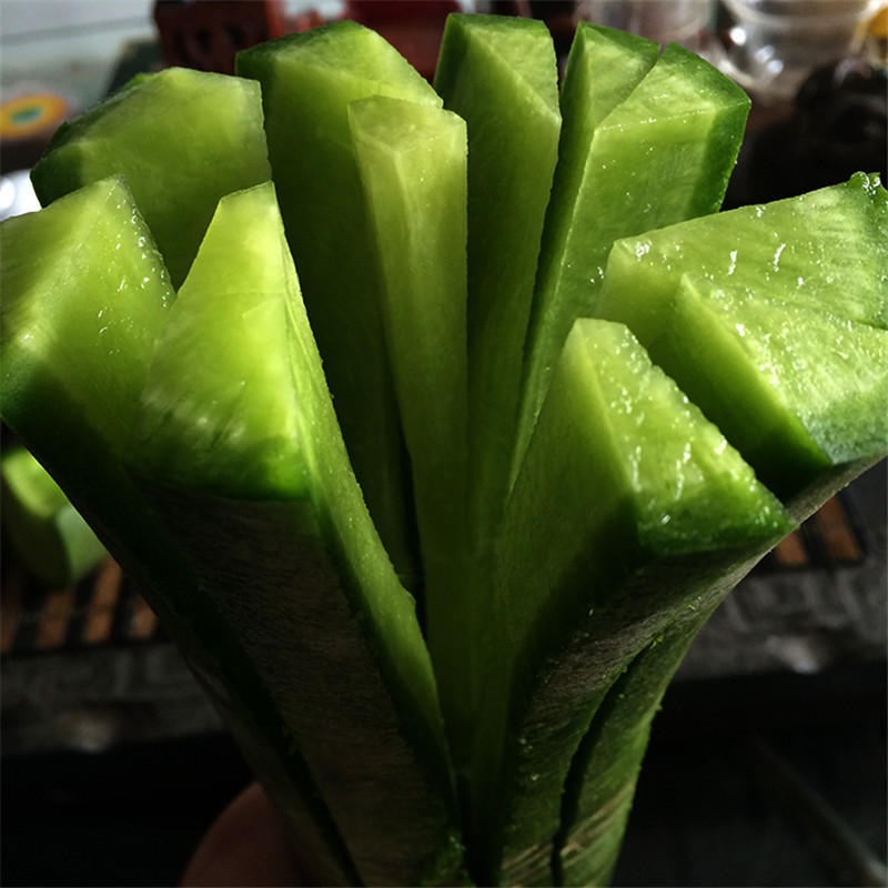 山东潍坊萝卜水果萝卜潍县萝卜青萝卜2kg新鲜蔬菜