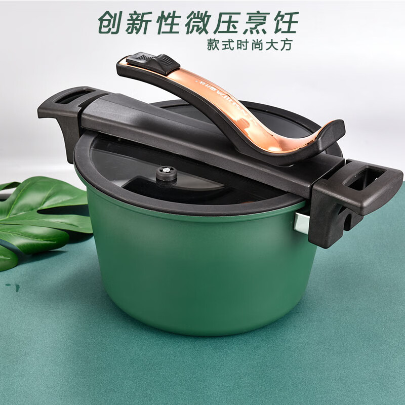 森仕达(SENSHIDA)森诺菲微压锅SSD-168高清大图