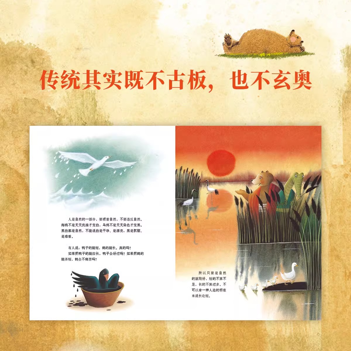 4册套装 [正版]央视网传统启蒙 全套4册郝广才绘本 夫子说 鱼儿水中游 熊梦蝶 蝶梦熊 鱼之乐3-6岁幼儿国学经典儿童高清大图