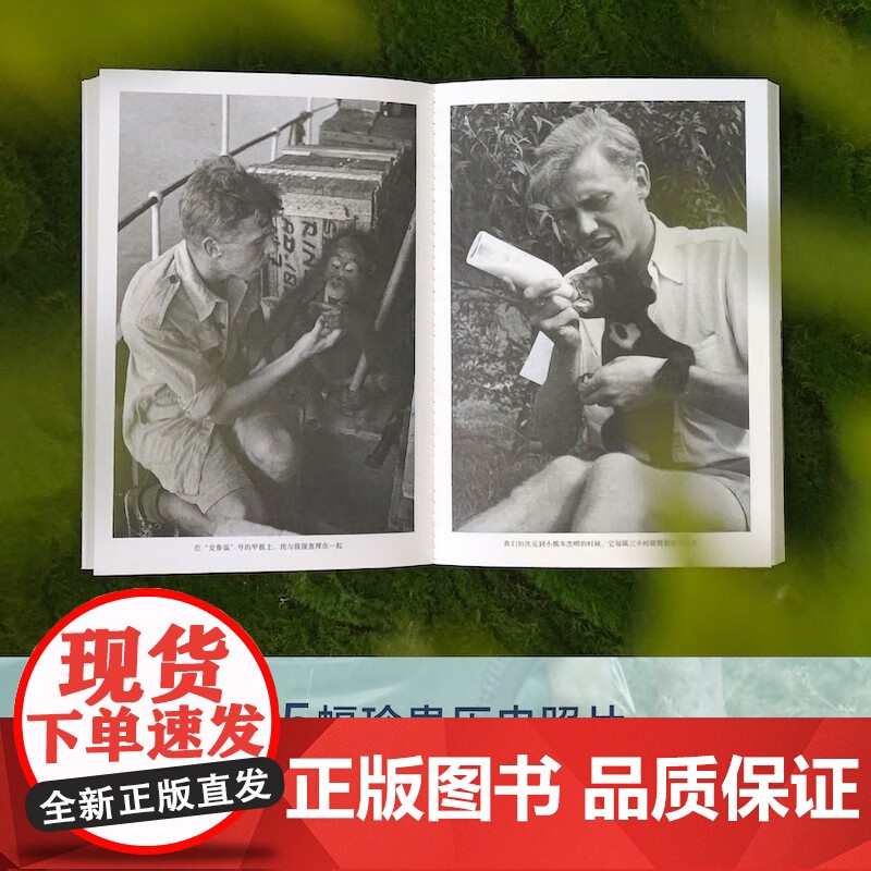 天际线 丛书 一位年轻博物学家的探险 大卫·爱登堡 著 科普读物高清大图