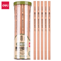 得力(deli) 铅笔 原木30支/筒 小学生铅笔 2B儿童用 HB 2H 桶装筒装 绘画 得力铅笔 多规格可选