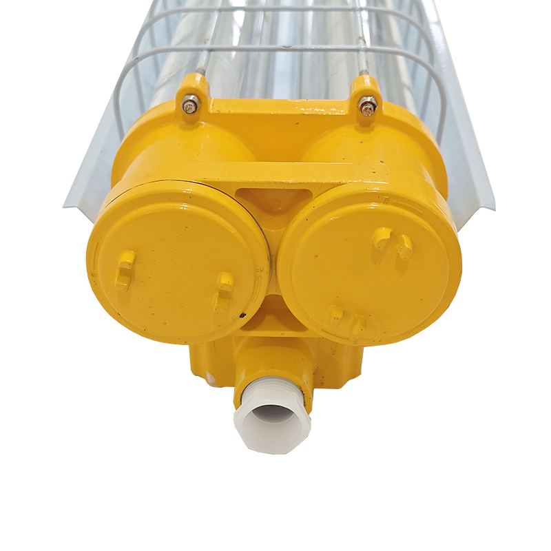 LHB8612 LED防爆荧光灯 2×18W 6000K AC220V IP66 ExdbIICT6Gb(计价单位:盏)高清大图