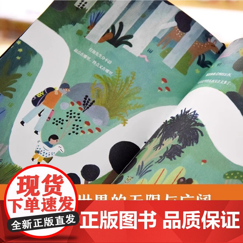 [央视网]那个那个 石头佩特拉 灯泡先生 不许说便便 谁放的屁 男孩与山6本 玛丽安娜绘本3-6岁 给孩子幸福哲学自我意高清大图