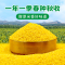 硃碌科黄小米粥小黄米5斤东北朝阳农家五谷杂粮食用有机米