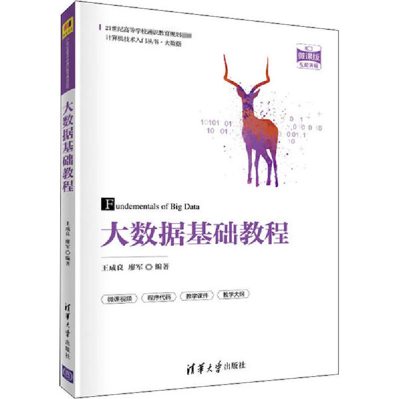 正版新书]大数据基础教程 微课版王成良9787302559665高清大图