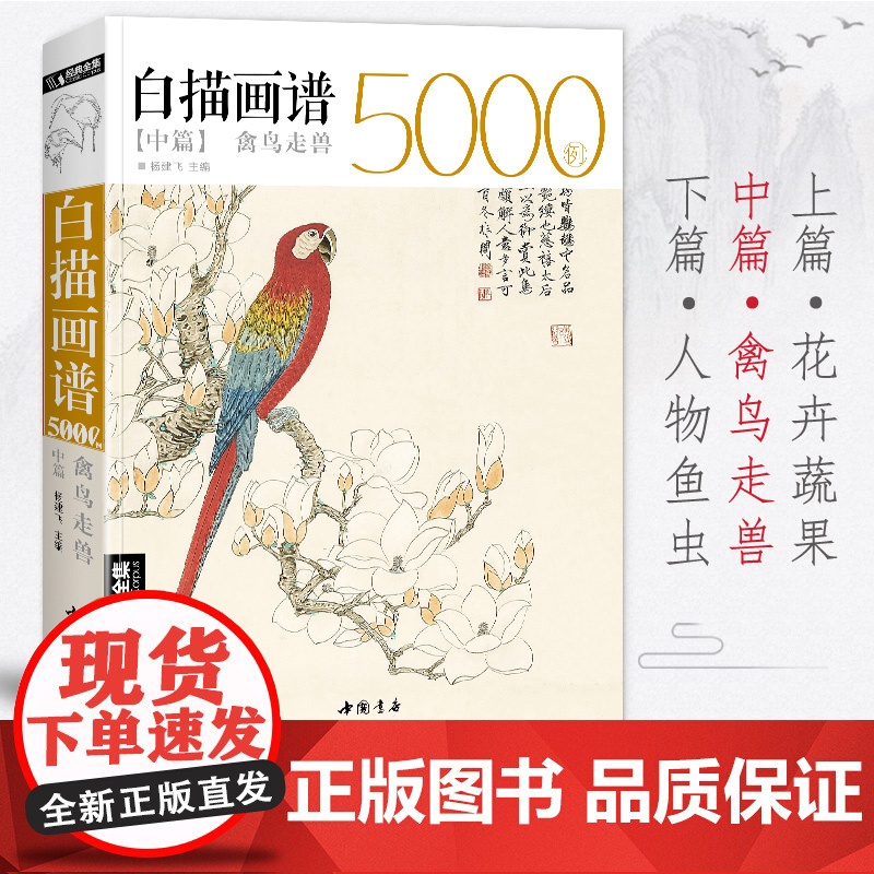 白描画谱5000例中篇·禽鸟走兽勾线描荷花卉临摹图谱书籍手绘自学高清大图