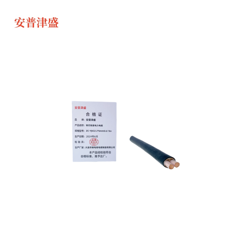 安普津盛 铜芯铠装电力电缆 ZC-YJV22 2*6mm0.6/1kv 米高清大图