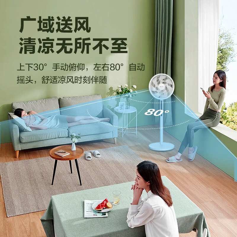 格力(GREE)电风扇一级能效落地扇直流变频节能触控广角摇头定时遥控智能电扇台地两用节能风扇FSZ-30X65Bg7高清大图