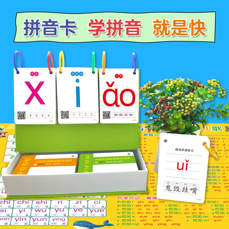 科学分类学拼音卡 [正版]BK科学分类学拼音卡