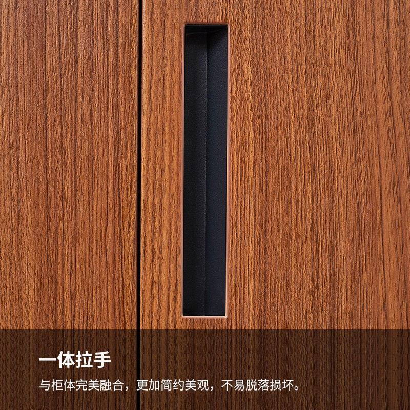 振奥 转印钢制文件柜加厚办公室资料柜胡桃仿木纹/台(深胡桃大器械文件柜)