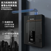 樱雪(INSE) 燃气热水器 13升触控变频分段恒温 无盘管 JSQ25-13QH2420(液化气)