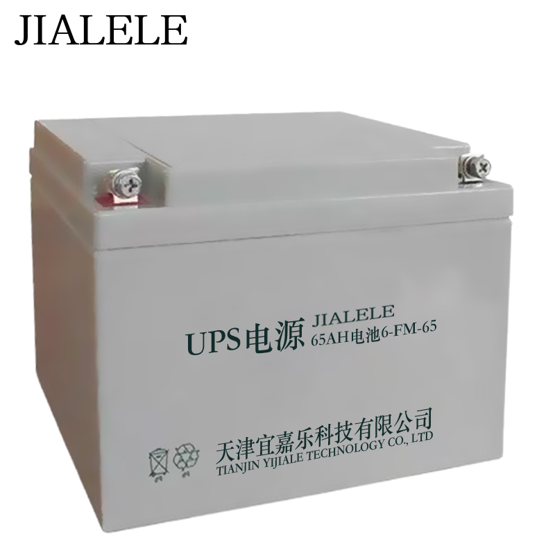 JIALELE UPS电源蓄电池12V 45Ah