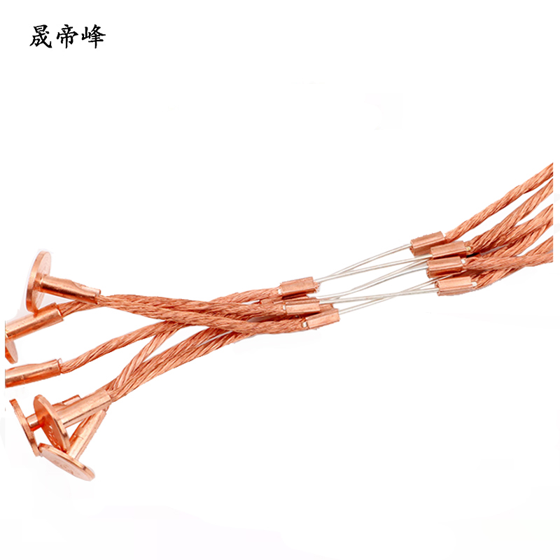 晟帝峰 纽扣式熔丝 10A 根高清大图