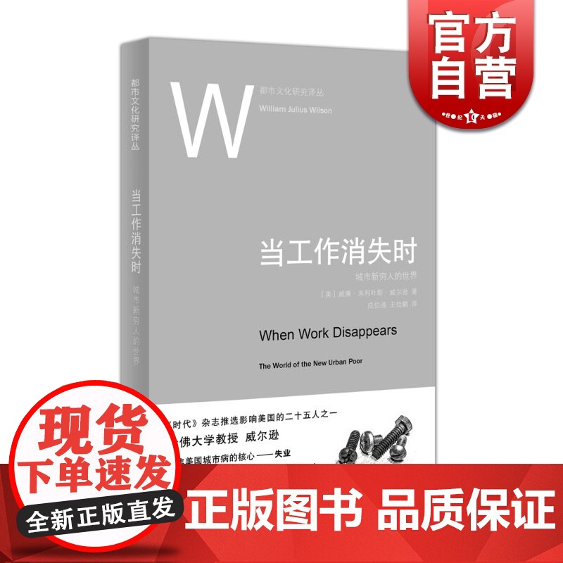 当工作消失时 城市新穷人的世界 都市文化研究译丛 [美]威廉·朱利叶斯·威尔逊 上海人民 世纪出版 图书籍高清大图
