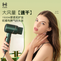 金稻负离子护发吹风机大功率家用电吹风筒宿舍学生静音速干不伤发魅紫色