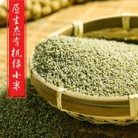 谷裕道 有机绿小米1000g 五谷杂粮 粗粮 绿色小米 月子米 产自呼伦贝尔大草原