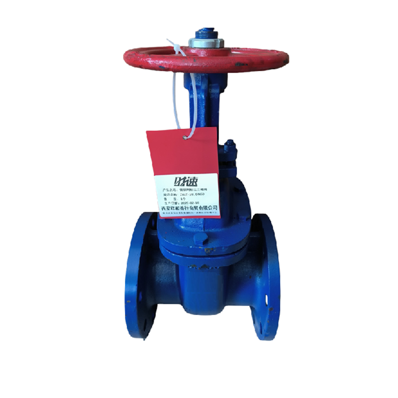 时速 铸铁明杆法兰闸阀 Z41T-16L DN150 个