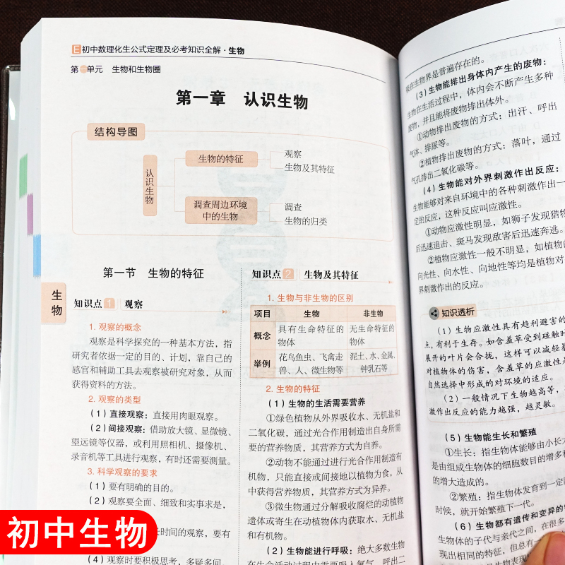 初中历史基础知识 初中通用 [正版]冲刺2024初中数理化生公式定理大全人教版数学物理化学生物基础知识全解公式卡片汇总初