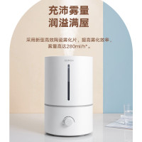 苏泊尔(SUPOR) 加湿器 4.5L大容量 卧室家用办公室桌面 迷你低噪空气加湿 银离子材料 上加水 SC05A-45