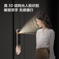 TCL 智能锁 指纹锁C10R Pro家用防盗门密码锁一握开智能门锁电子门锁3D人脸分布式猫眼锁十大开锁方式