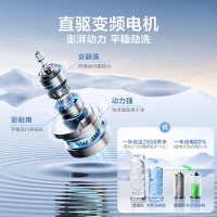 小天鹅(LittleSwan)波轮洗衣机全自动 直驱变频 10公斤大容量 深层净洗 一键智洗TB100V26DT