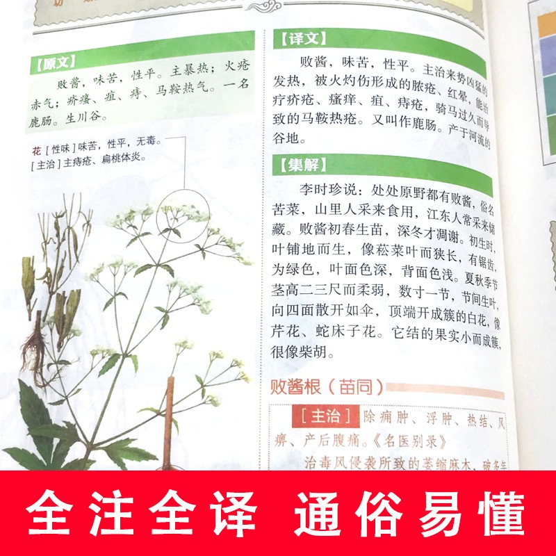 [醉染正版]神农本草经正版彩色草药图珍藏彩图鉴中国医学巨著中医基础理论中药学中草药图谱大全书药物医学书籍处方中药养生书籍高清大图
