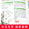 [醉染正版]神农本草经正版彩色草药图珍藏彩图鉴中国医学巨著中医基础理论中药学中草药图谱大全书药物医学书籍处方中药养生书籍