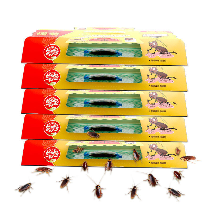 榄菊杀蟑饵剂蟑螂克星家用全窝端杀蟑神器无毒厨房除蟑小黑屋灭蟑