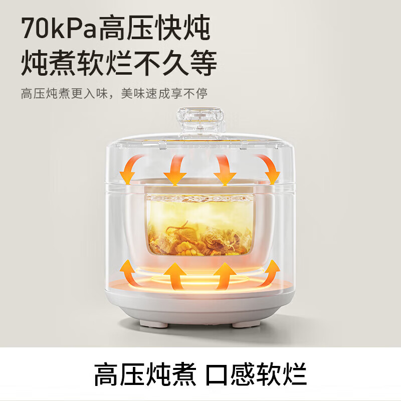 九阳电压力煲Y-20H20家用小型2L高清大图