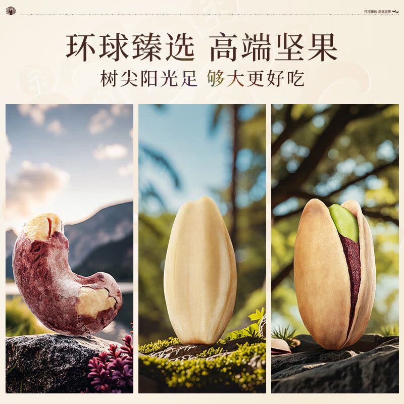 臻味 环球风尚 坚果礼盒 2.1kg 盒图片