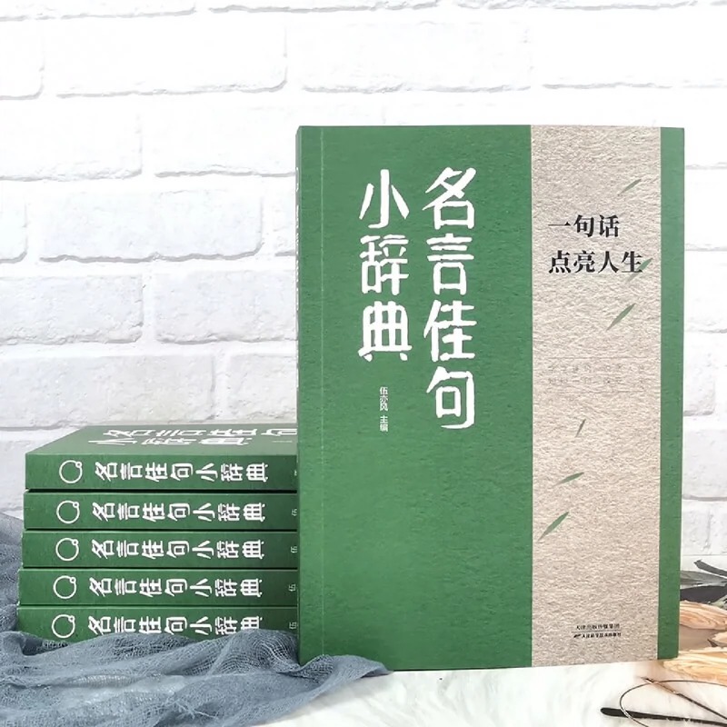 [6册]励志人生答疑解惑套装 [正版]名言佳句小辞典 感悟人生语录大全人生感悟初中生高中生小学生名人名言经典语录励志书籍高清大图