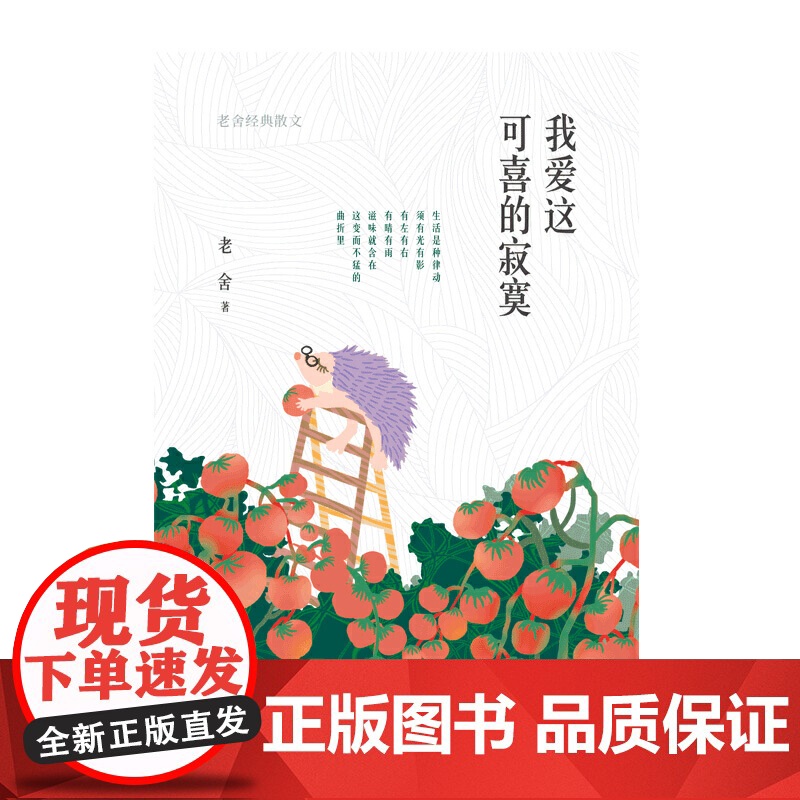 我爱这可喜的寂寞(老舍散文经典精装,精编精校,汪曾祺、王朔推崇的语言大家)高清大图