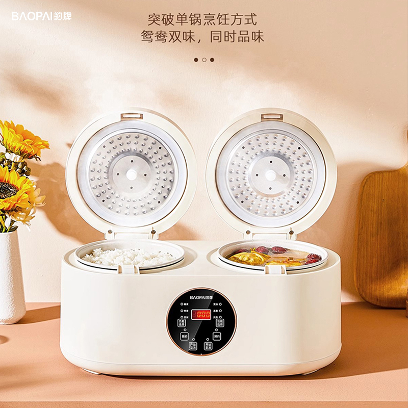 豹牌触屏双胆电饭煲 BP-WB129高清大图