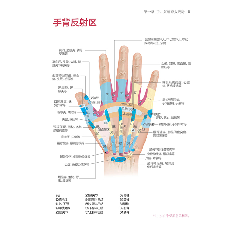醉染图书在家做手足按摩(汉竹 )9787571329518高清大图