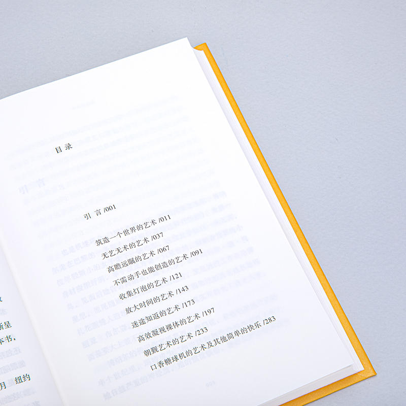 [正版] 碰巧的杰作 论人生的艺术和艺术的人生 迈克尔基默尔曼著 一个心系艺术的人生本就是一件杰作 书籍高清大图