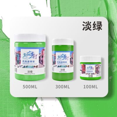 丙烯颜料防水套装diy画画美术用品涂鸦白色颜料手绘鞋子100ml工具|淡绿 100ml
